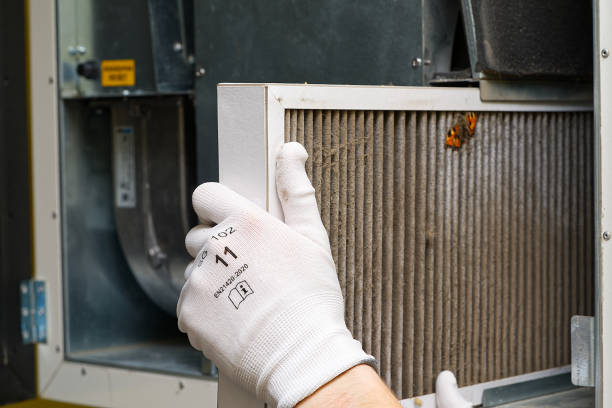 Best Air Duct Cleaning Company Near Me  in Reese, MI