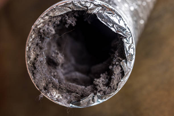 Best Air Vent Cleaning Services  in Reese, MI