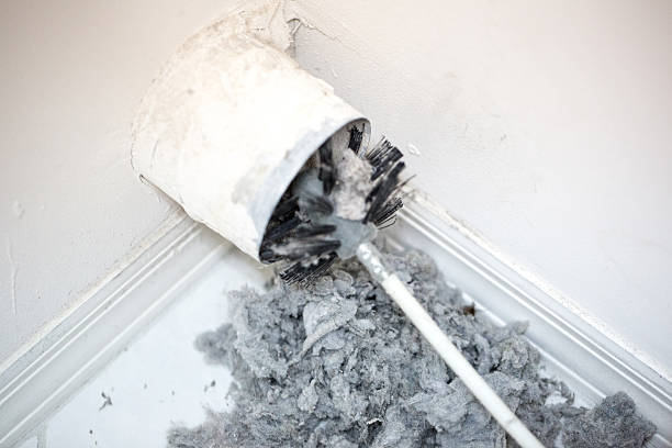 Best Affordable HVAC Duct Cleaning  in Reese, MI