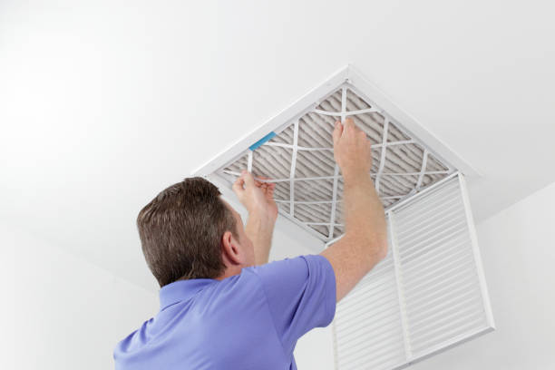 Best HVAC Duct Inspection Services  in Reese, MI